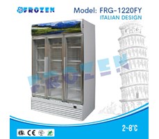 Tủ mát bảo quản rau củ quả  Frozen FRG-1220FY