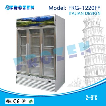 Tủ mát bảo quản rau củ quả  Frozen FRG-1220FY